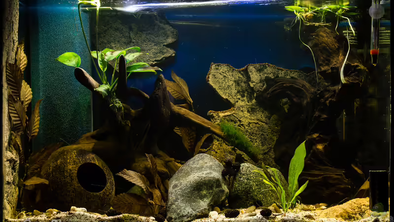 100% Beleuchtung von GoreSlayer (11)