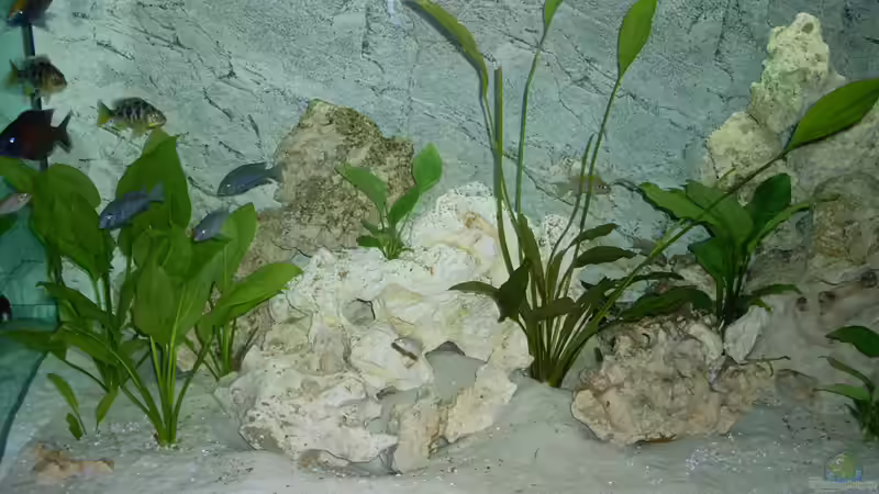 100 kg Lochgestein von nivram (2)