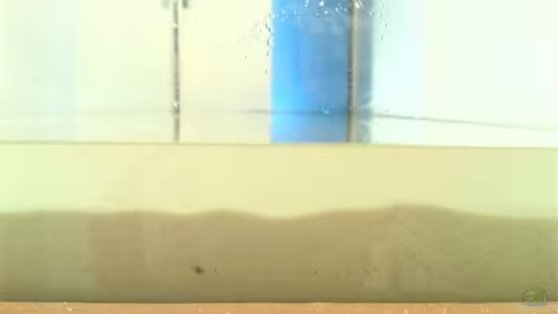 100 kg Weißer Sand (noch ein wenig trüb das Wasser) von SINAN (19)