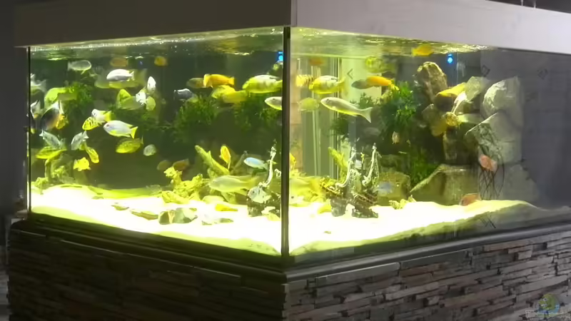1000 liter Aquarium von Frank Lefers (1)