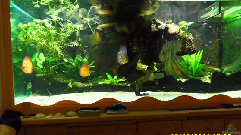 1000er von Ulrich Sauerhering (6)