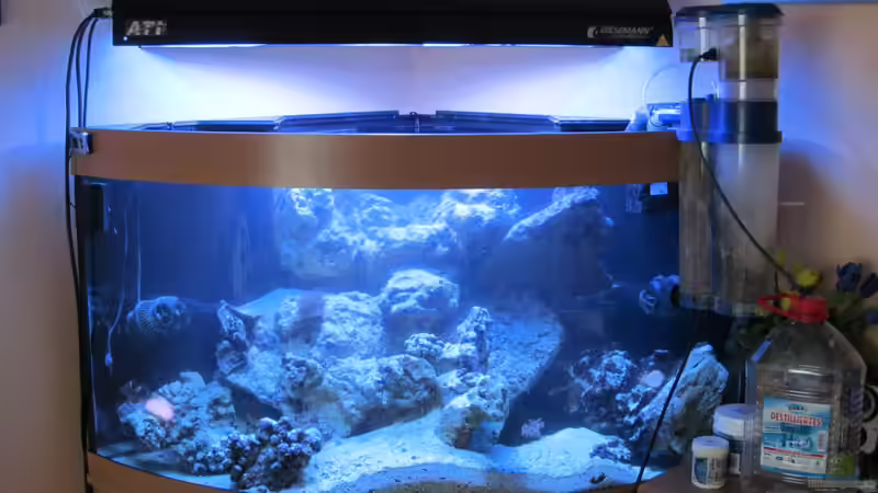 100kg Lebendgestein abgeholt von Aqua_Art_Krefeld (5)