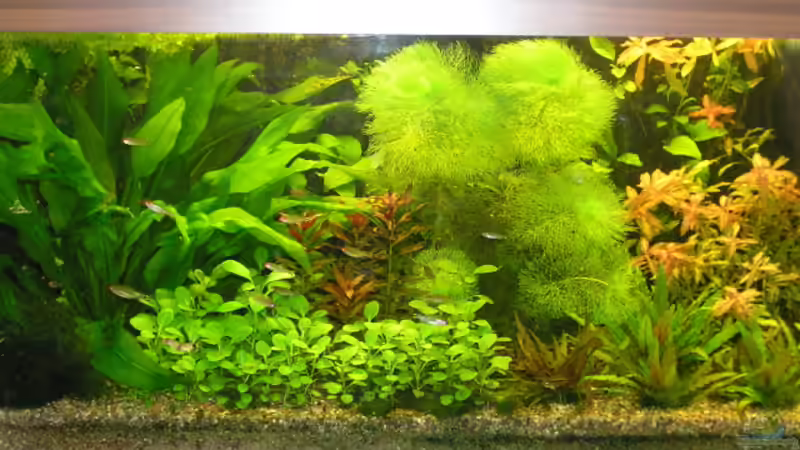 100x40x50 von Raiko Thurm