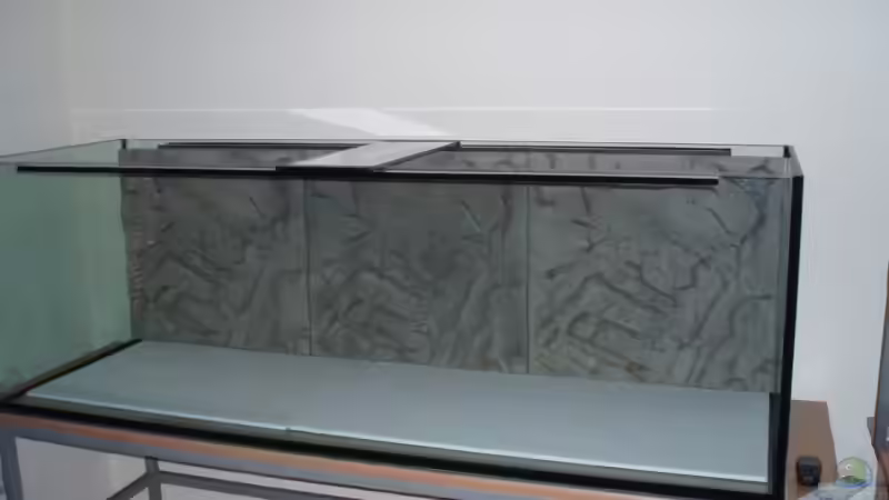 10mm Styropor im Becken von Der Engländer (3)