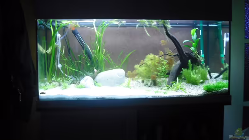 10tage nach Ersteinrichtung von Fireman (5)