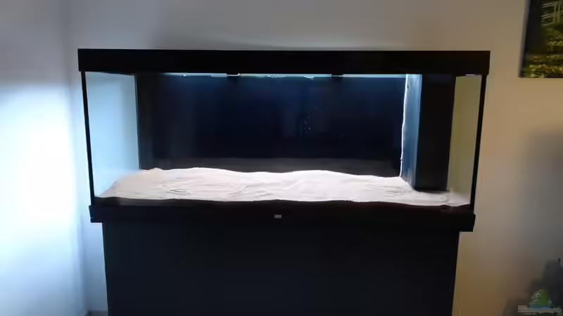 11.) Quarzkies von coachdriver_uwe (12)