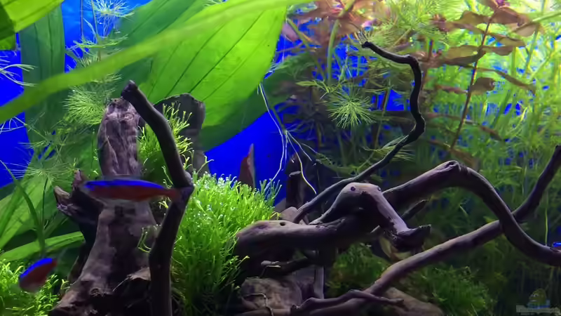 11.01.16 von .Andreas. (32)