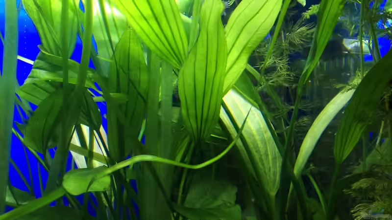 11.01.16 von .Andreas. (33)