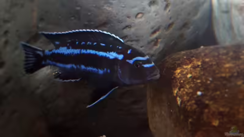 11.01.2020 von Andreas L. (5)