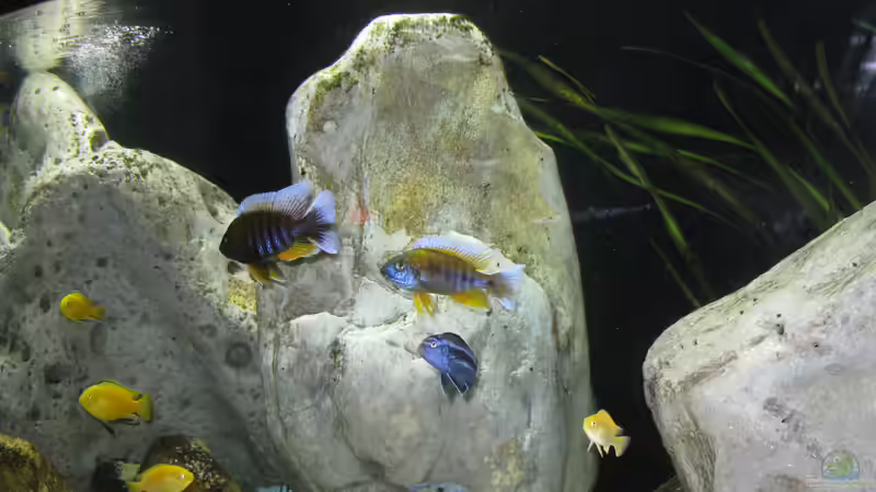 11.01.2020 von Andreas L. (6)