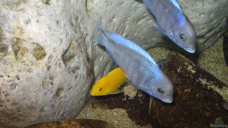 11.01.2020 von Andreas L. (7)