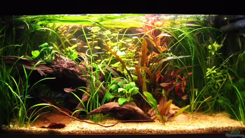 11.02.08 von André Martin (1)