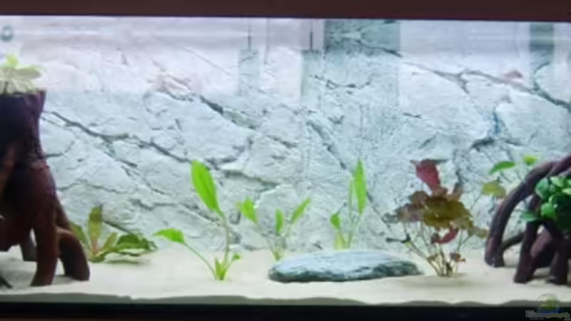 11.02.08 von Matthias Grobitzsch (3)