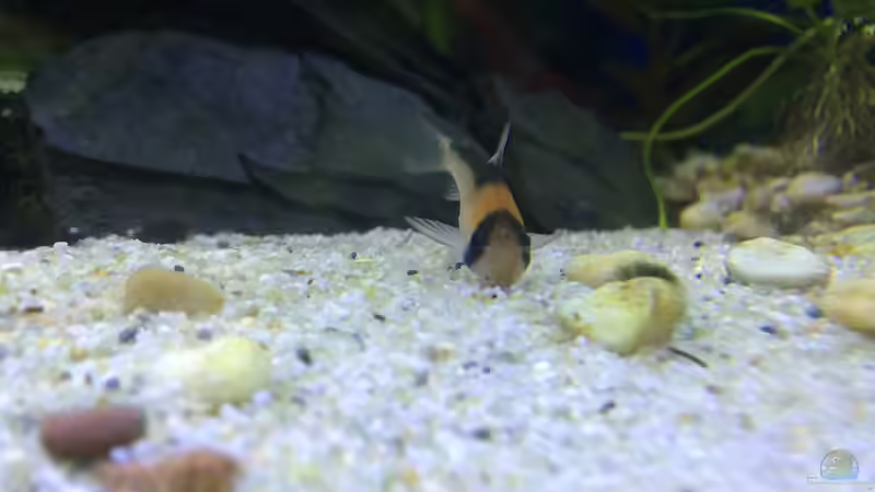 11.02.16 von .Andreas. (126)