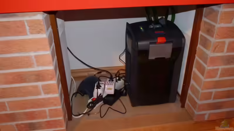 11.02.2010 endlich ist der drin - der EHEIM 2076 von lützkopf (16)