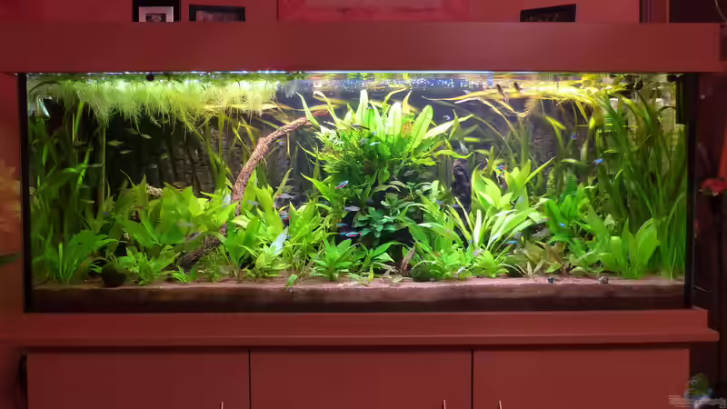 11.03.14 von Dieter (8)