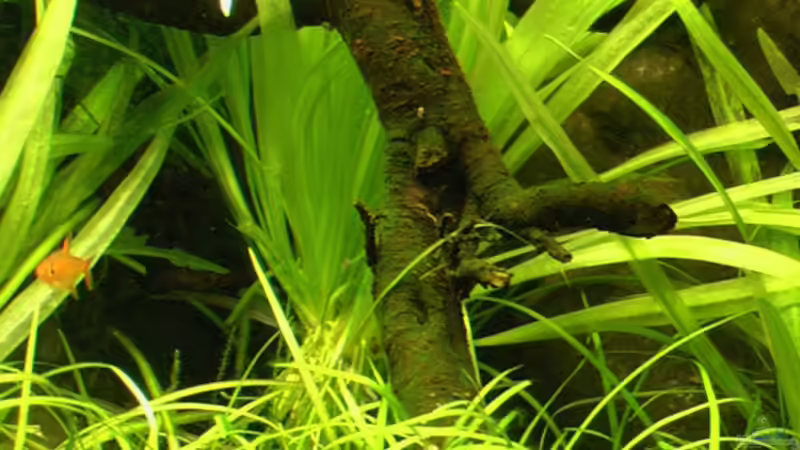 11.03.2006  von Tilo Schmiedl (16)