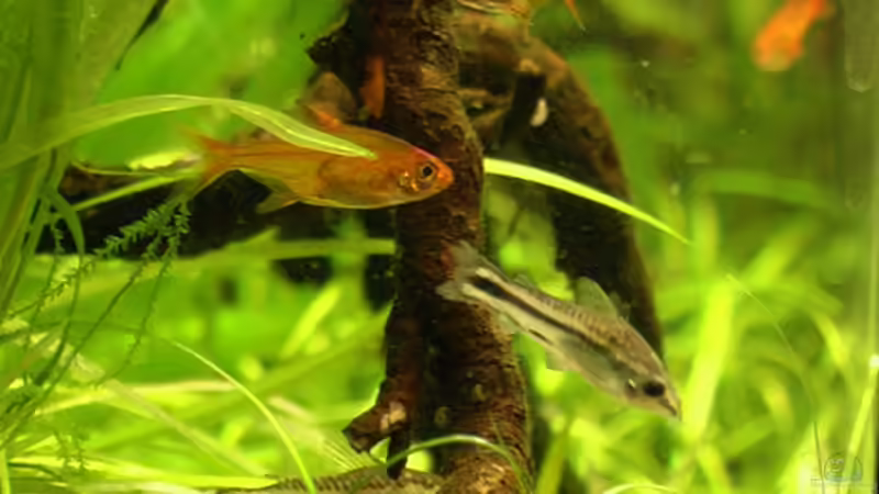 11.03.2006  von Tilo Schmiedl (30)