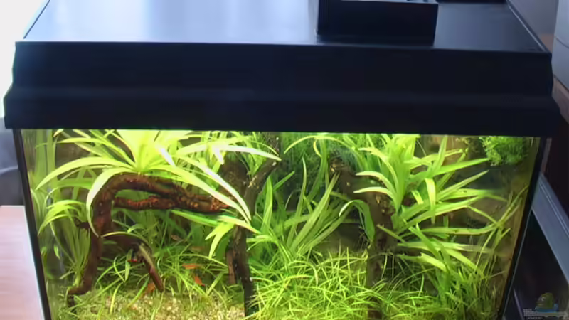 11.03.2006 Becken von oben mit Lüfter  von Tilo Schmiedl (6)