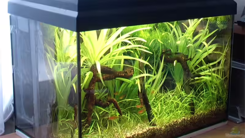 11.03.2006 Gesamtansicht von links von Tilo Schmiedl (2)