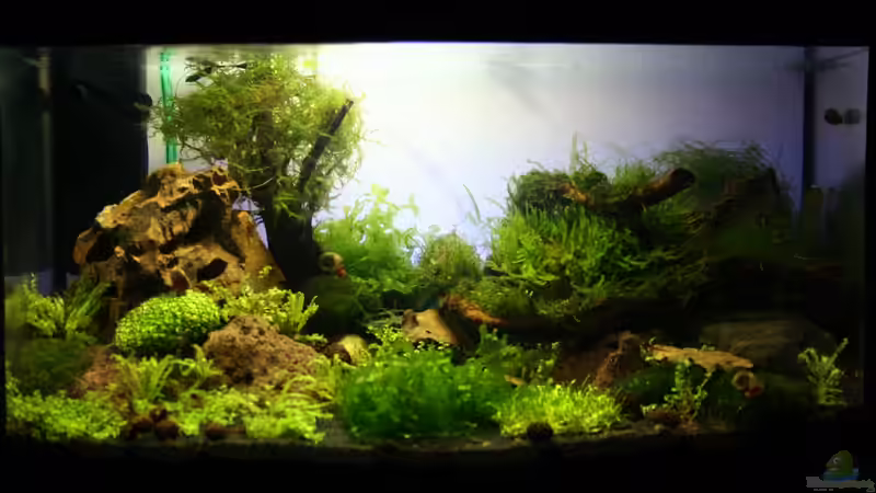 11.03.2012 von SouthAmerica (9)