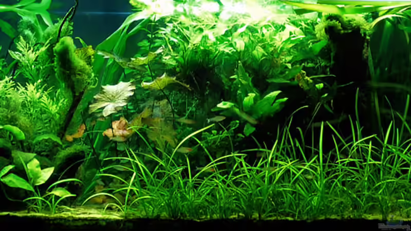 11-04-10 von Mario74 (14)