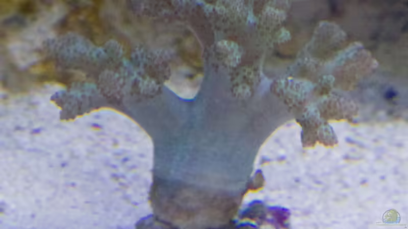 11.04.2015 von mmbm78 (15)