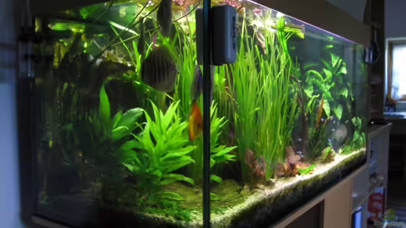 11.05.09 von Korbi (6)