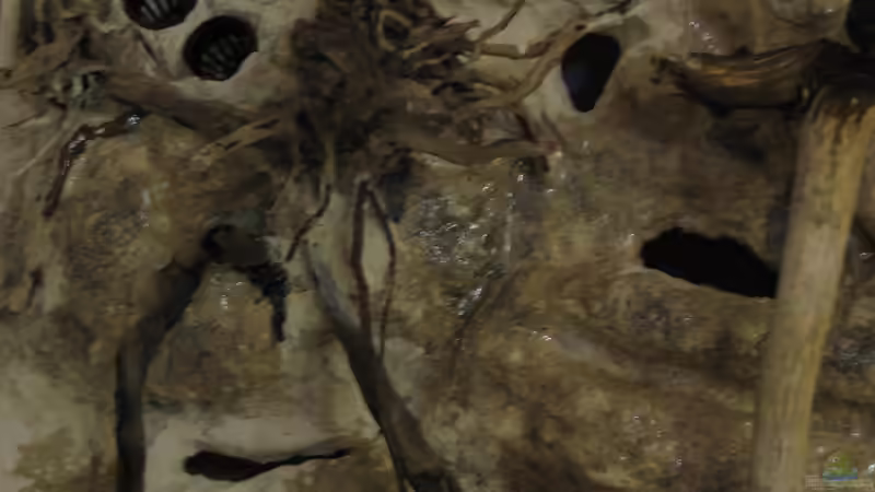 11.05.2015 Details teilversiegelte Rückwand von der Theoretiker (31)