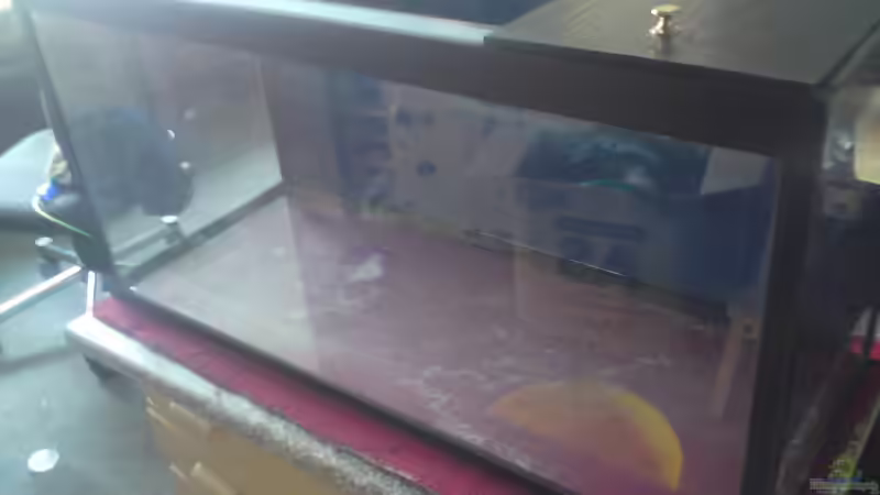 11.06.2012 - Endlich ist das Becken da! von Pinkie (2)