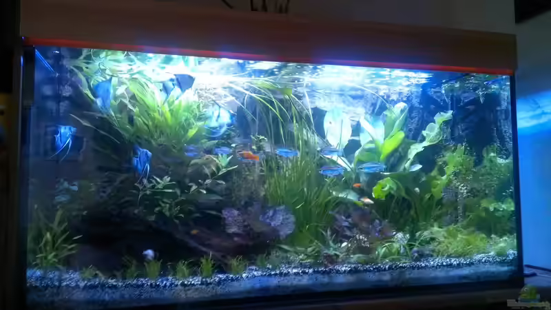 11.06.2014 von raubsau (29)