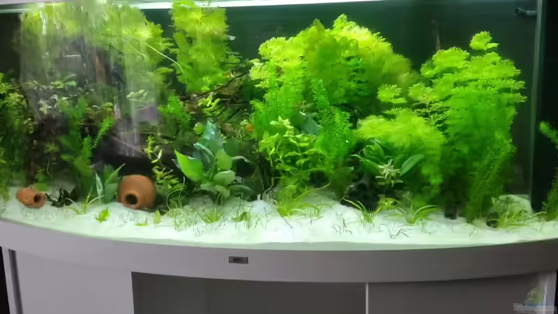 11.06.2016 von Matthias Junge (3)