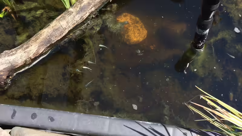 11.06.2021 sie erkunden ihr neues Reich von herkla (28)