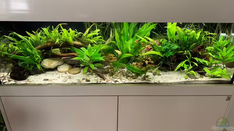 11.07.2020 von Fäbi_CH (1)