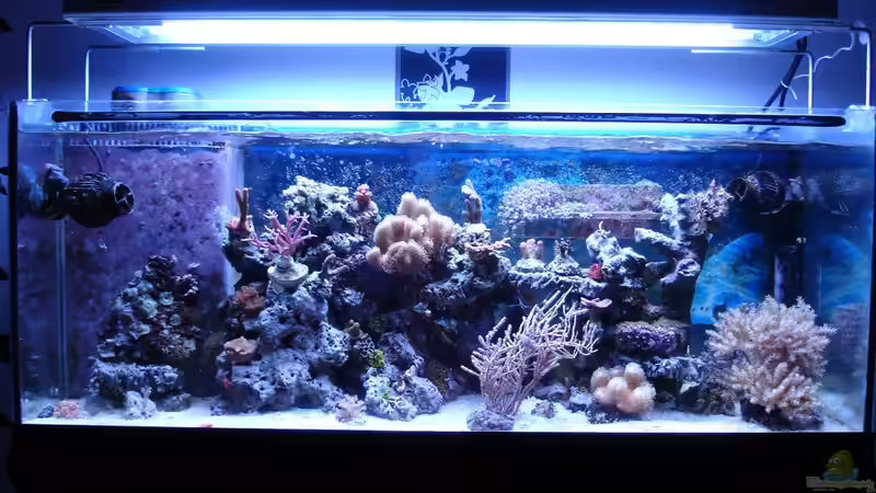 11.08.2013 von Jane Vogeler (30)