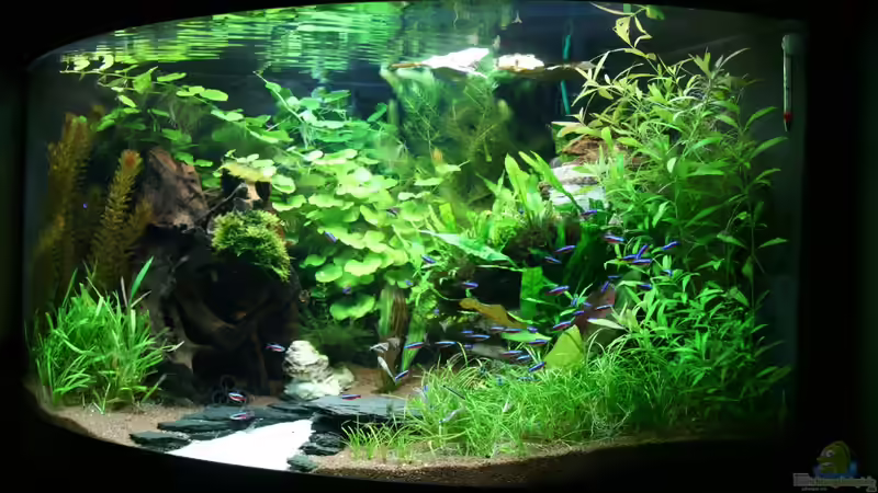 11.09.2011 von Christian Grunwald (11)