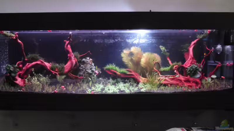 11.1.2013 von Bjarke (6)