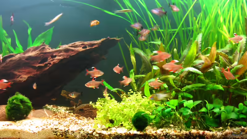 11.1.2013 von NicoleZH (17)