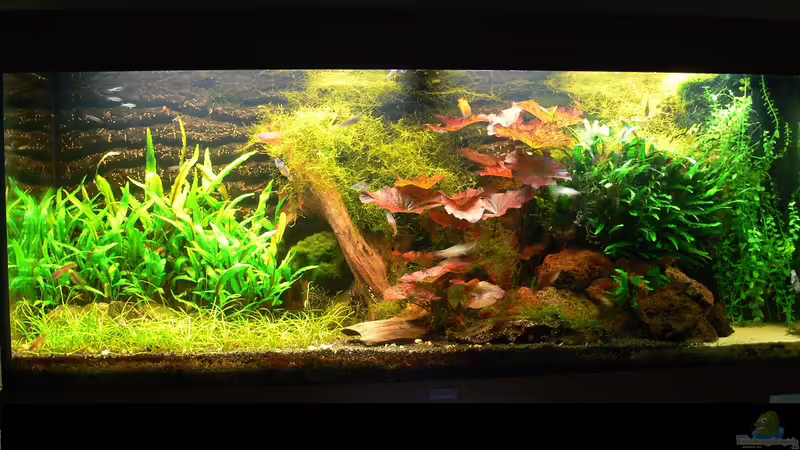 11.10.11 von derflo (4)