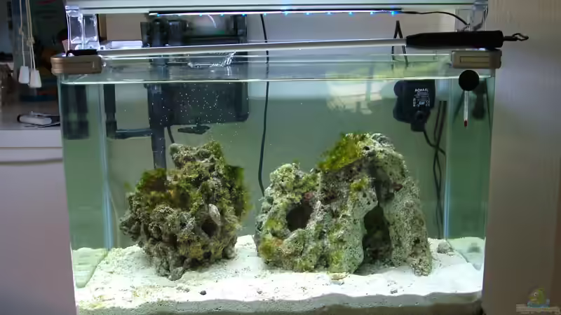 11.10.2008 von Merya (6)