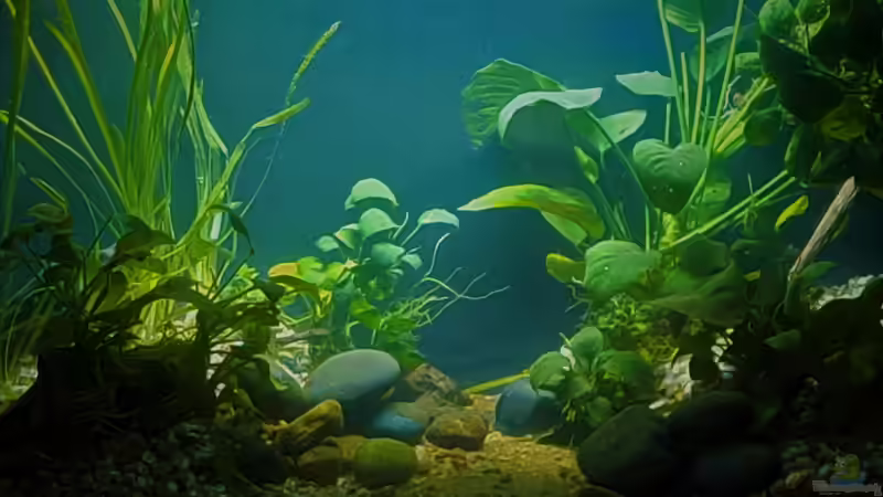 11.11.2022 Nach dem Aus- und wieder einräumen.  von okefenokee (10)