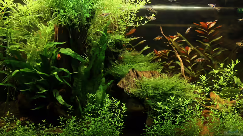 11.12.12 mitte von Annika (6)