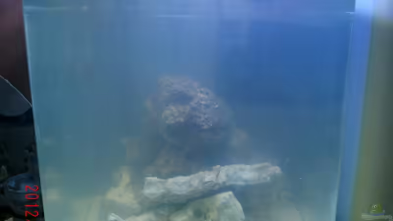 11.12.12 von Jademeister (4)