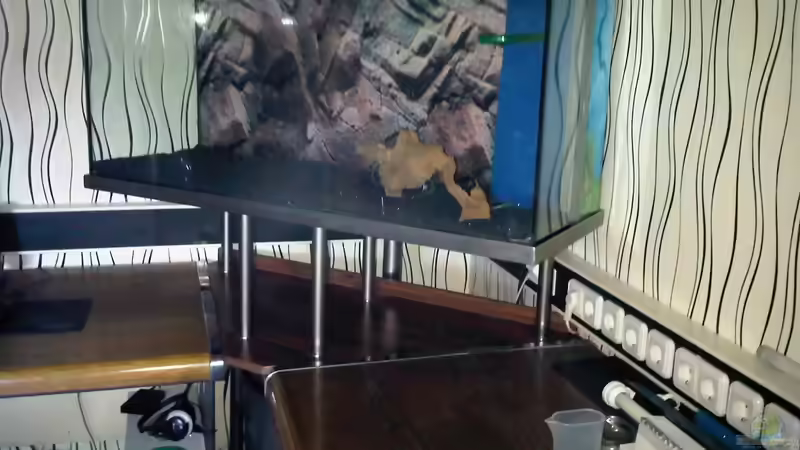 11.12.2011: das ´nackte´ Becken von Catfu (8)