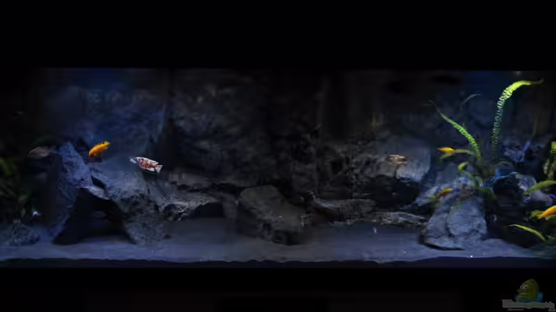 11.12.2012 von chR576 (1)