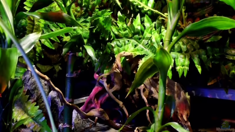 11.12.2013 von snooze (5)