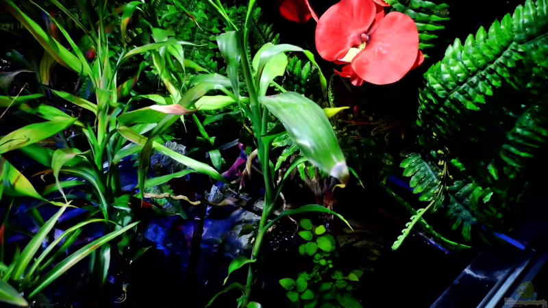 11.12.2013 von snooze (6)