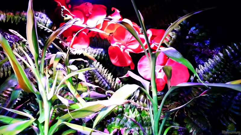 11.12.2013 von snooze (7)