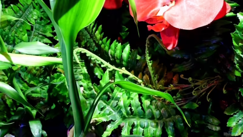 11.12.2013 von snooze (8)