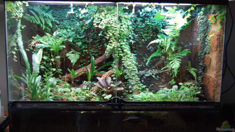 11.12.2014 von Junglist (43)